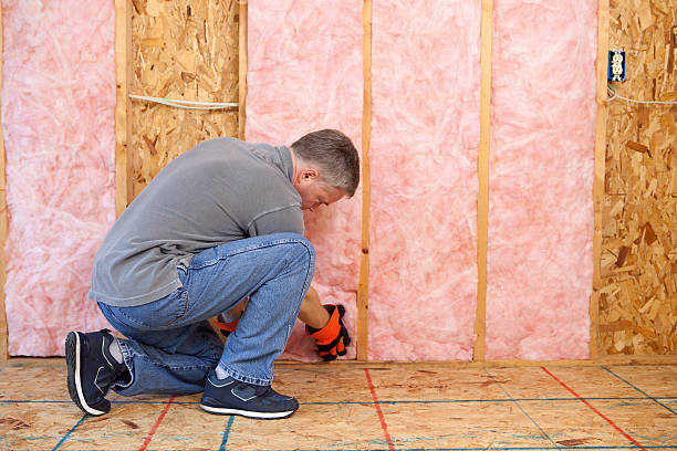 Best Geographic-Specific Insulation Services in Anaheim, CA